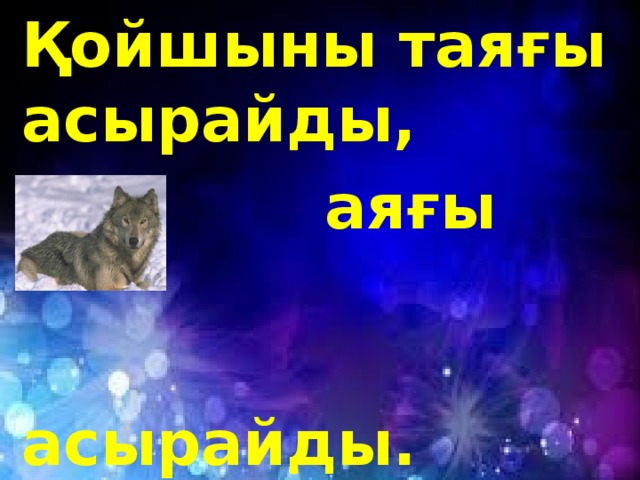 Қойшыны таяғы асырайды,  аяғы  асырайды.