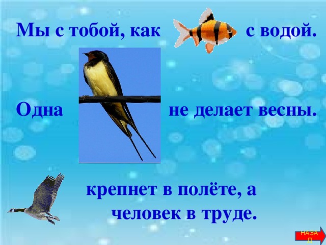 Мы с тобой, как … с водой.    Одна … не делает весны.    … крепнет в полёте, а  человек в труде.       НАЗАД