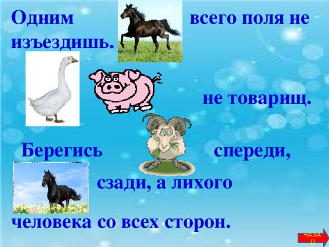 Одним … всего поля не изъездишь.   … … не товарищ.      Берегись … спереди,  … сзади, а лихого   человека со всех сторон.       НАЗАД