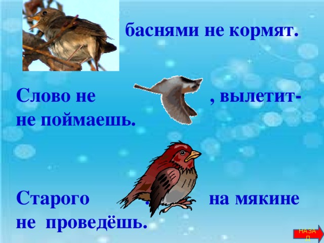 … баснями не кормят.     Слово не … , вылетит- не поймаешь.    Старого … на мякине не проведёшь.        НАЗАД