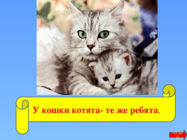 У кошки котята- те же ребята . НАЗАД