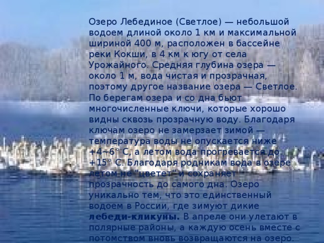 Озеро Лебединое (Светлое) — небольшой водоем длиной около 1 км и максимальной шириной 400 м, расположен в бассейне реки Кокши, в 4 км к югу от села Урожайного. Средняя глубина озера — около 1 м, вода чистая и прозрачная, поэтому другое название озера — Светлое. По берегам озера и со дна бьют многочисленные ключи, которые хорошо видны сквозь прозрачную воду. Благодаря ключам озеро не замерзает зимой — температура воды не опускается ниже +4~6° С, а летом вода прогревается до +15° С. Благодаря родникам вода в озере летом не 