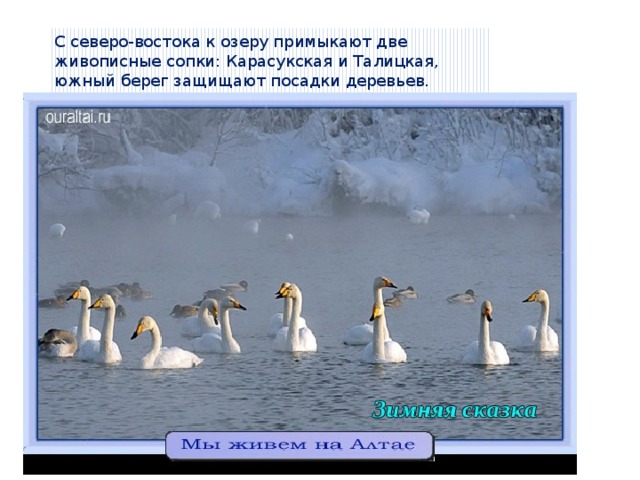 С северо-востока к озеру примыкают две живописные сопки: Карасукская и Талицкая, южный берег защищают посадки деревьев.