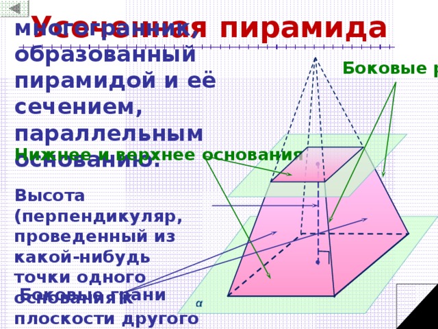 Усеченная пирамида многогранник, образованный пирамидой и её сечением, параллельным основанию. Боковые ребра Нижнее и верхнее основания Высота (перпендикуляр, проведенный из какой-нибудь точки одного основания к плоскости другого основания) Боковые грани