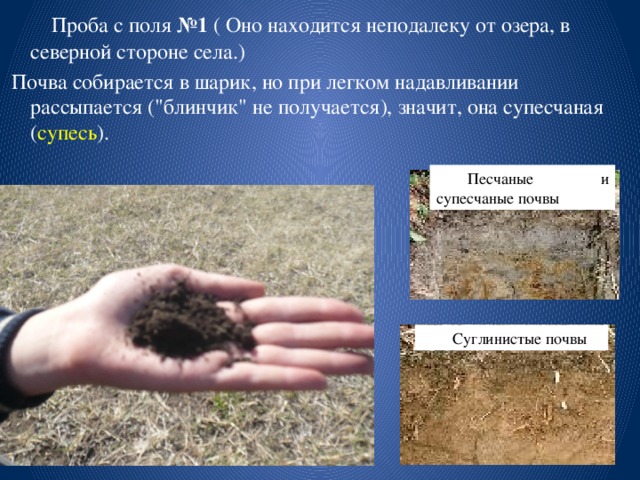 Проба с поля №1 ( Оно находится неподалеку от озера, в северной стороне села.)  Почва собирается в шарик, но при легком надавливании рассыпается (