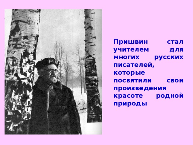 Пришвин стал учителем для многих русских писателей, которые посвятили свои произведения красоте родной природы