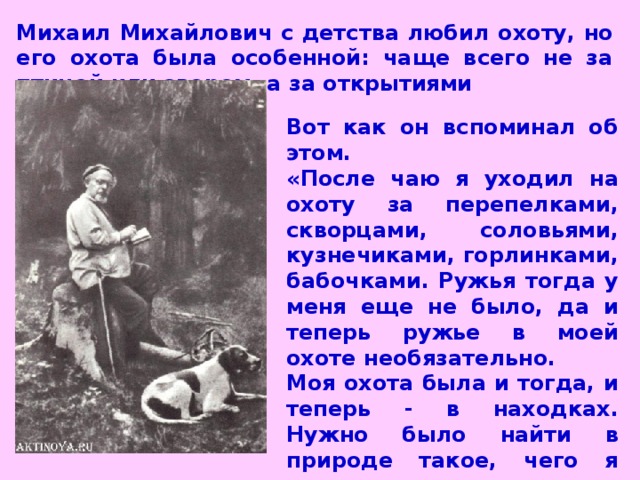 Михаил Михайлович с детства любил охоту, но его охота была особенной: чаще всего не за птицей или зверем, а за открытиями Вот как он вспоминал об этом. «После чаю я уходил на охоту за перепелками, скворцами, соловьями, кузнечиками, горлинками, бабочками. Ружья тогда у меня еще не было, да и теперь ружье в моей охоте необязательно. Моя охота была и тогда, и теперь - в находках. Нужно было найти в природе такое, чего я еще не видел, и, может быть, никто еще в своей жизни с этим не встречался»