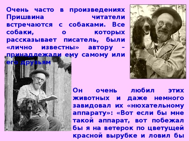 Очень часто в произведениях Пришвина читатели встречаются с собаками. Все собаки, о которых рассказывает писатель, были «лично известны» автору – принадлежали ему самому или его друзьям Он очень любил этих животных и даже немного завидовал их «нюхательному аппарату»: «Вот если бы мне такой аппарат, вот побежал бы я на ветерок по цветущей красной вырубке и ловил бы и ловил интересные мне запахи»