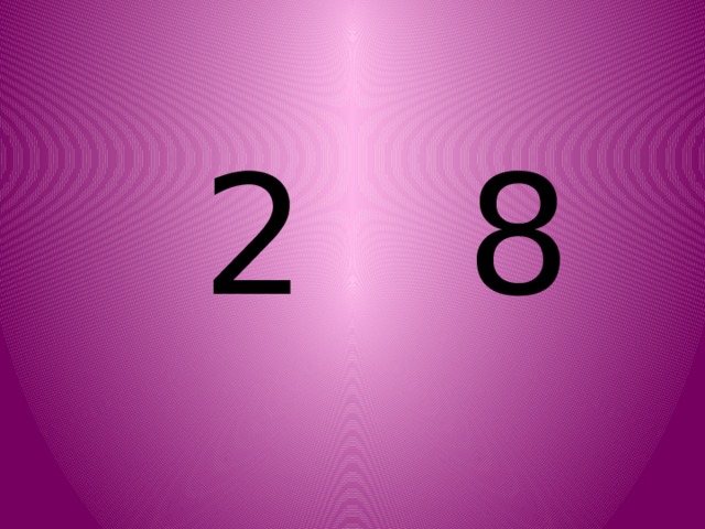 2 8