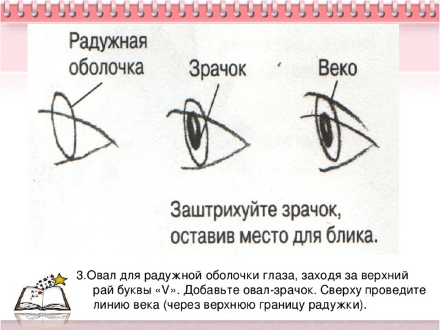 3.Овал для радужной оболочки глаза, заходя за верхний рай буквы «V». Добавьте овал-зрачок. Сверху проведите линию века (через верхнюю границу радужки).