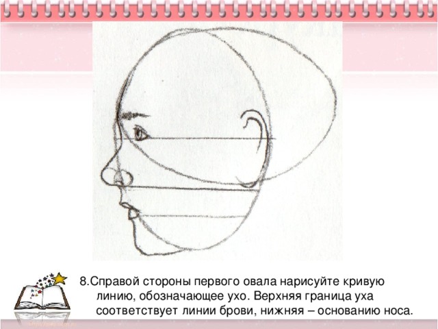 8.Справой стороны первого овала нарисуйте кривую линию, обозначающее ухо. Верхняя граница уха соответствует линии брови, нижняя – основанию носа.