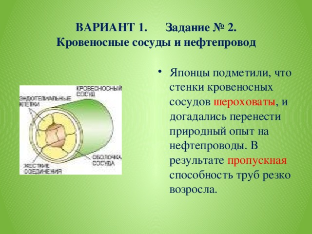 ВАРИАНТ 1. Задание № 2.  Кровеносные сосуды и нефтепровод