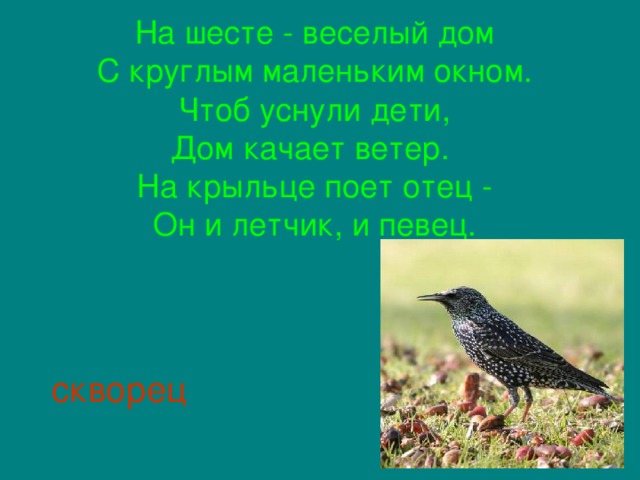 На шесте - веселый дом  С круглым маленьким окном.  Чтоб уснули дети,  Дом качает ветер.  На крыльце поет отец -  Он и летчик, и певец.     скворец