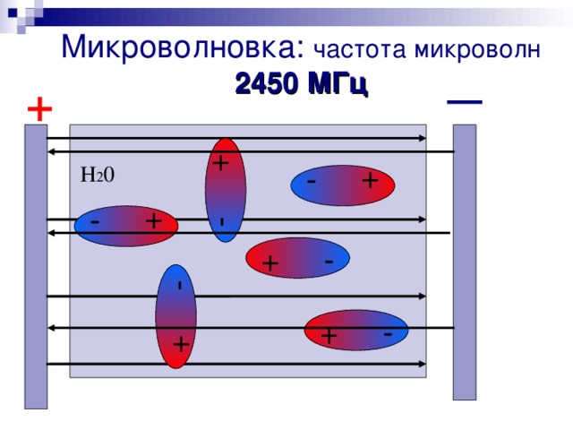 + - + - + - + - Микроволновка: частота микроволн 2450 МГц + Н 2 0 + - + -