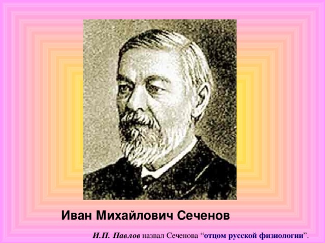 Иван Михайлович Сеченов  И.П. Павлов  назвал Сеченова “ отцом русской физиологии ”.
