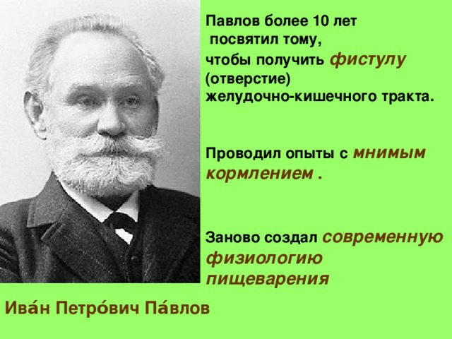 Павлов более 10 лет  посвятил тому, чтобы получить фистулу (отверстие) желудочно-кишечного тракта.   Проводил опыты с мнимым кормлением .   Заново создал современную физиологию пищеварения  Ива́н Петро́вич Па́влов