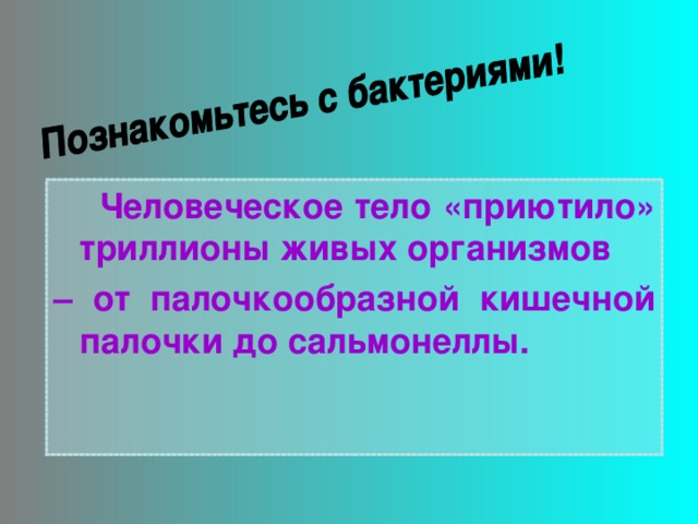 Человеческое тело «приютило» триллионы живых организмов – от палочкообразной кишечной палочки до сальмонеллы.