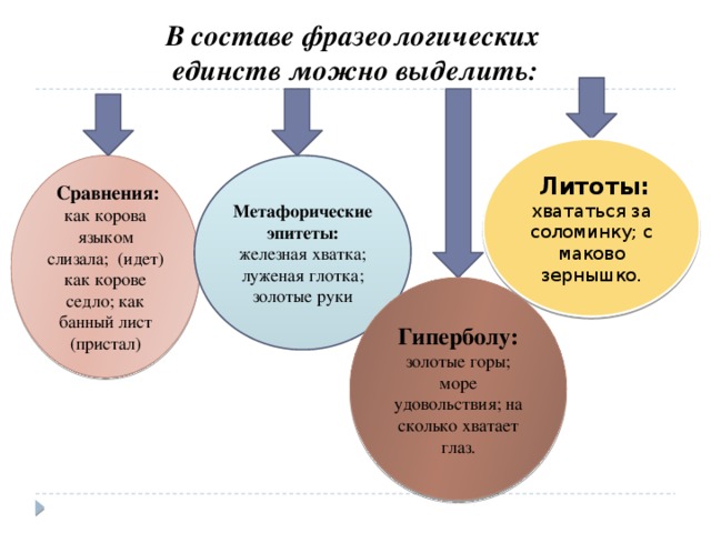 В составе фразеологических  единств можно выделить:  Литоты: хвататься за соломинку; с маково зернышко.  Сравнения: как корова языком слизала; (идет) как корове седло; как банный лист (пристал) Метафорические эпитеты: железная хватка; луженая глотка; золотые руки Гиперболу: золотые горы; море удовольствия; на сколько хватает глаз.