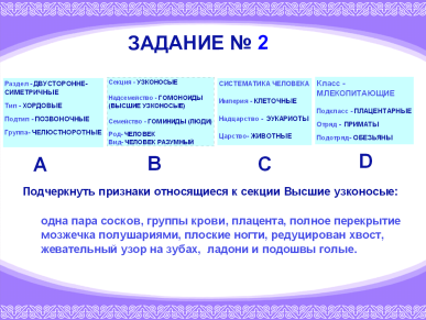 Факторы эволюции человека презентация 11 класс биология