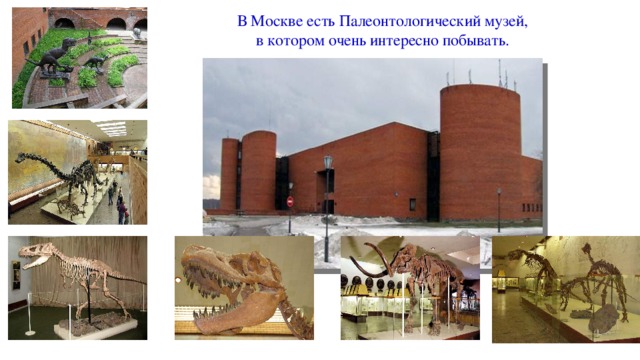 В Москве есть Палеонтологический музей, в котором очень интересно побывать.