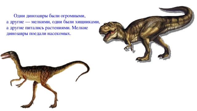 Одни динозавры были огромными, а другие — мелкими, одни были хищниками, а другие питались растениями. Мелкие динозавры поедали насекомых.
