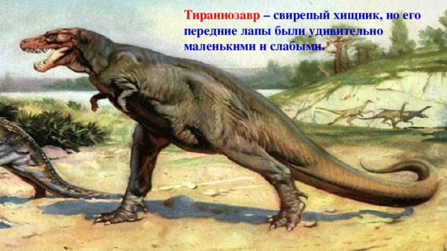 Тираннозавр – свирепый хищник, но его передние лапы были удивительно маленькими и слабыми.