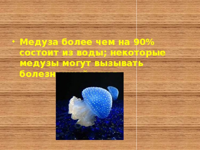 Медуза более чем на 90% состоит из воды; некоторые медузы могут вызывать болезненный ожог.