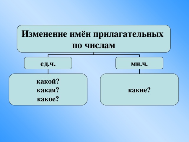 Изменение имён прилагательных по числам ед.ч. мн.ч. какой? какая? какое? какие?