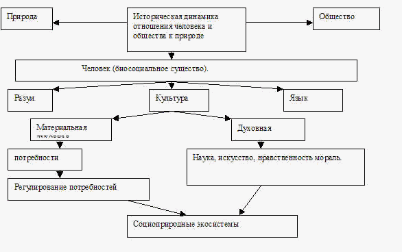 Обществознание схема человек