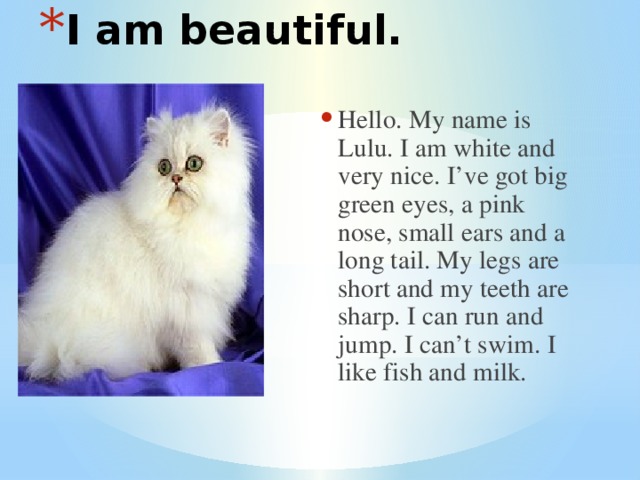 I am beautiful. Hello. My name is Lulu. I am white and very nice. I’ve got big green eyes, a pink nose, small ears and a long tail. My legs are short and my teeth are sharp. I can run and jump. I can’t swim. I like fish and milk.