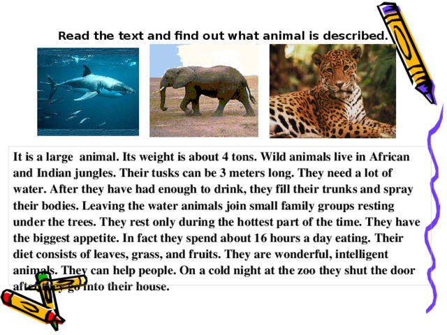 Read the text and find out what animal is described.  It is a large animal. Its weight is about 4 tons. Wild animals live in African and Indian jungles. Their tusks can be 3 meters long. They need a lot of water. After they have had enough to drink, they fill their trunks and spray their bodies. Leaving the water animals join small family groups resting under the trees. They rest only during the hottest part of the time. They have the biggest appetite. In fact they spend about 16 hours a day eating. Their diet consists of leaves, grass, and fruits. They are wonderful, intelligent animals. They can help people. On a cold night at the zoo they shut the door after they go into their house.