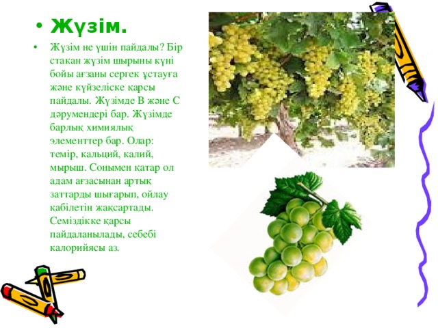 Жүзім. Жүзім не үшін пайдалы ? Бір стакан жүзім шырыны күні бойы ағзаны сергек ұстауға және күйзеліске қарсы пайдалы. Жүзімде В және С дәрумендері бар. Жүзімде барлық химиялық элементтер бар. Олар: темір, кальций, калий, мырыш. Сонымен қатар ол адам ағзасынан артық заттарды шығарып, ойлау қабілетін жақсартады. Семіздікке қарсы пайдаланылады, себебі калорийясы аз.