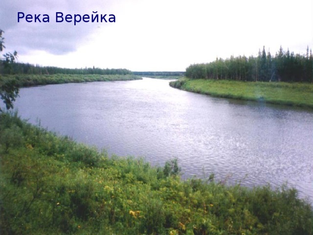 Река Верейка