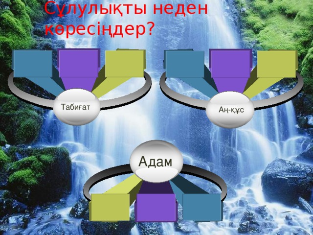 Сұлулықты неден көресіңдер? Табиғат Аң-құс Адам