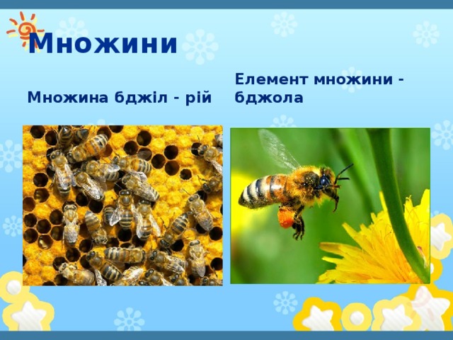 Множини Множина бджіл - рій Елемент множини - бджола