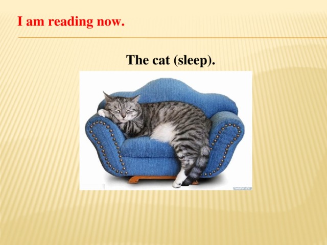 I am reading now. The cat (sleep).