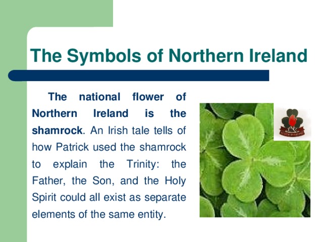 The Symbols of Northern Ireland   The national flower of Northern Ireland is the shamrock . An Irish tale tells of how Patrick used the shamrock to explain the Trinity: the Father, the Son, and the Holy Spirit could all exist as separate elements of the same entity.