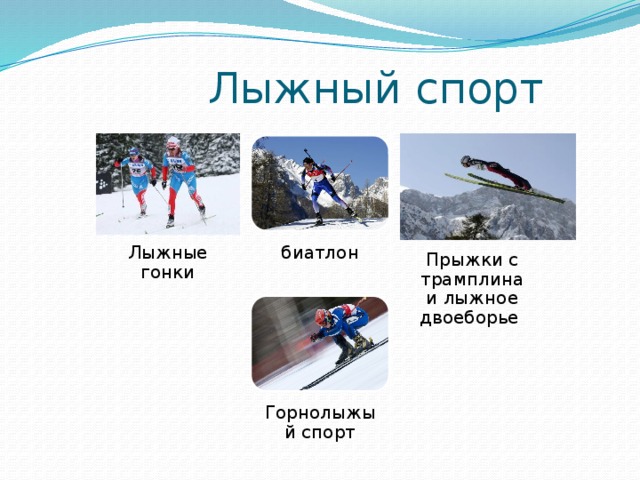 Лыжный спорт Лыжные гонки биатлон Прыжки с трамплина и лыжное двоеборье Горнолыжый спорт