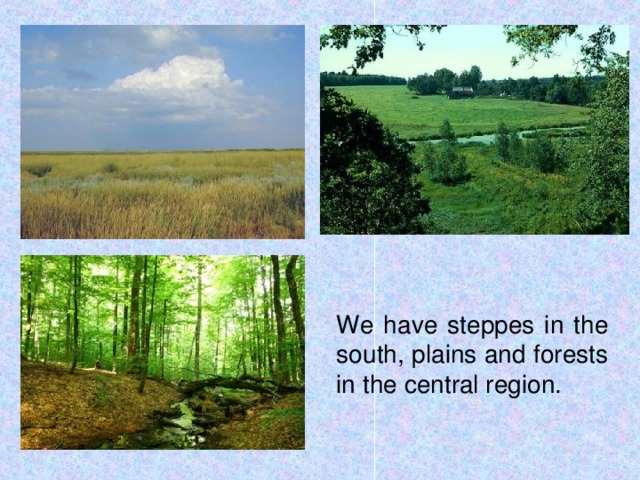 We have steppes in the south, plains and forests in the central region.