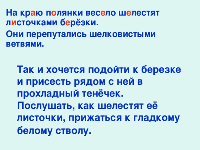 На кр а ю п о лянки вес е ло ш е лестят л и сточками б е рёзки. Они перепутались шелковистыми ветвями. Так и хочется подойти к березке и присесть рядом с ней в прохладный тенёчек. Послушать, как шелестят её листочки, прижаться к гладкому белому стволу .