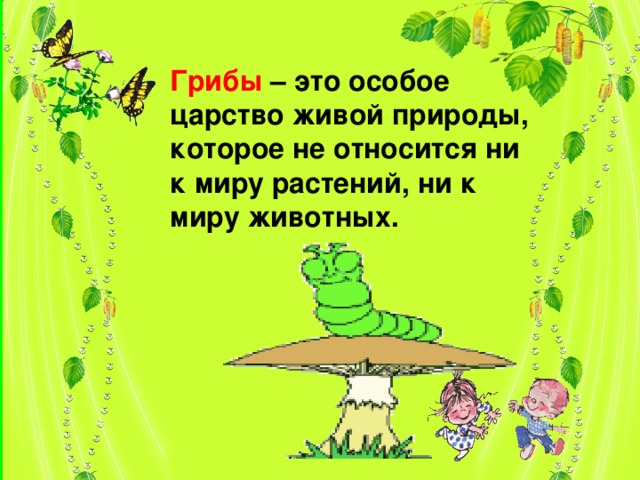 Грибы – это особое царство живой природы, которое не относится ни к миру растений, ни к миру животных.