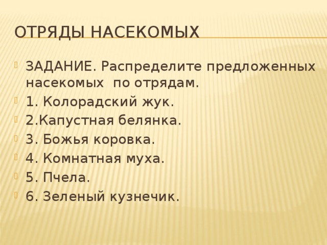 Отряды насекомых