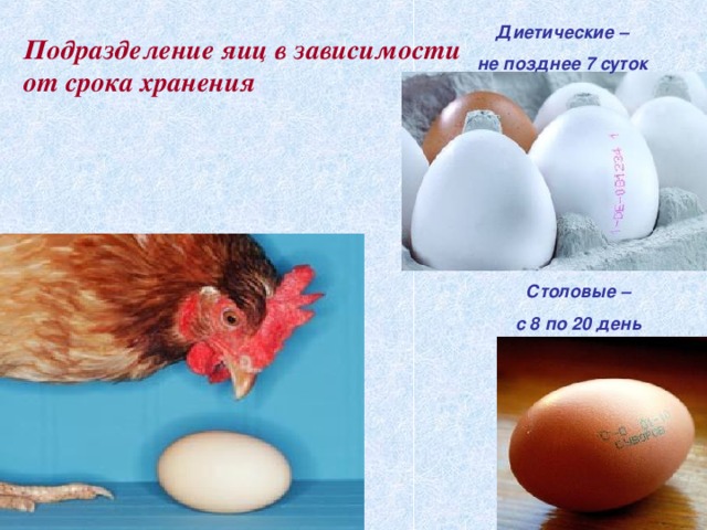 Диетические – не позднее 7 суток Подразделение яиц в зависимости от срока хранения Столовые – с 8 по 20 день Подразделение яиц в зависимости от срока хранения