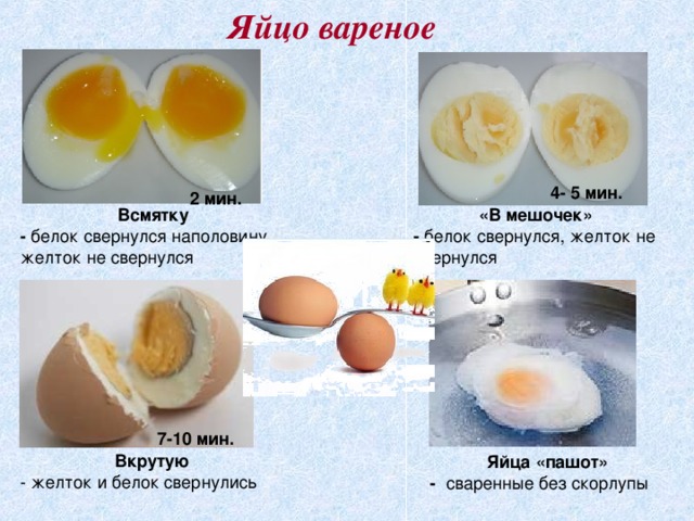 Яйцо вареное 4- 5 мин. 2 мин. Всмятку - белок свернулся наполовину, желток не свернулся «В мешочек» - белок свернулся, желток не свернулся 7-10 мин. Вкрутую - желток и белок свернулись Яйца «пашот» - сваренные без скорлупы