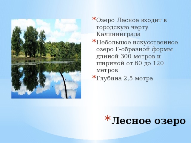 Озеро Лесное входит в городскую черту Калининграда Небольшое искусственное озеро Г-образной формы длиной 300 метров и шириной от 60 до 120 метров Глубина 2,5 метра Лесное озеро