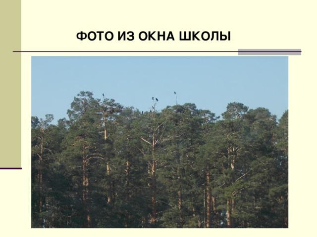 ФОТО ИЗ ОКНА ШКОЛЫ