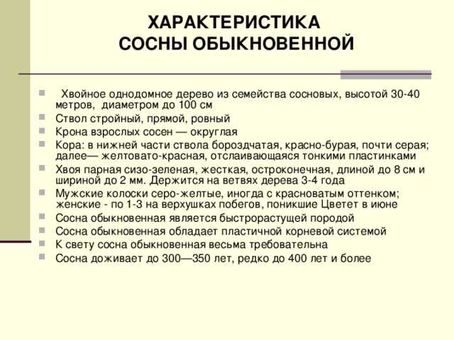 Характеристика сосны обыкновенной. Сосна обыкновенная морфологическое описание. Характеристика сосны. Сосна обыкновенная характеристика. Характеристика характеристика о сосне.