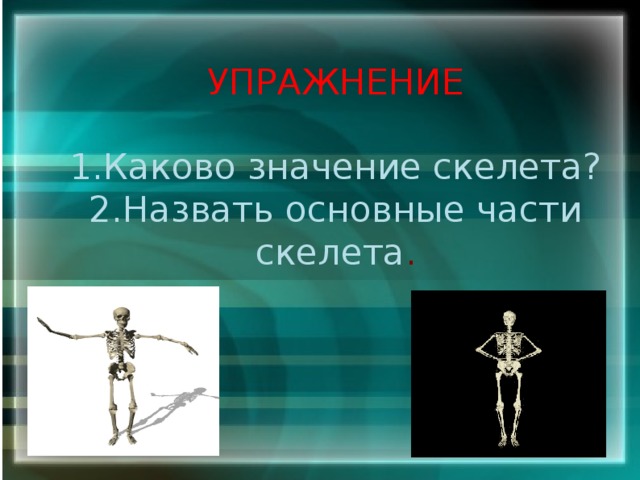 УПРАЖНЕНИЕ   1.Каково значение скелета?  2.Назвать основные части  скелета .