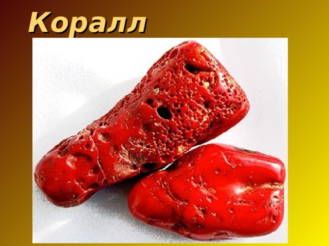 Коралл