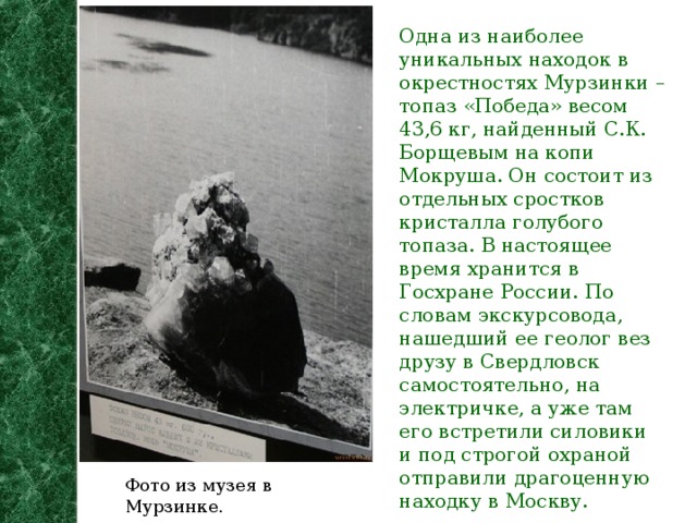 Одна из наиболее уникальных находок в окрестностях Мурзинки – топаз «Победа» весом 43,6 кг, найденный С.К. Борщевым на копи Мокруша. Он состоит из отдельных сростков кристалла голубого топаза. В настоящее время хранится в Госхране России. По словам экскурсовода, нашедший ее геолог вез друзу в Свердловск самостоятельно, на электричке, а уже там его встретили силовики и под строгой охраной отправили драгоценную находку в Москву. Фото из музея в Мурзинке.